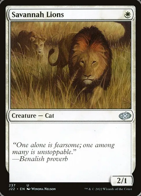 Savannah Lions 237/051