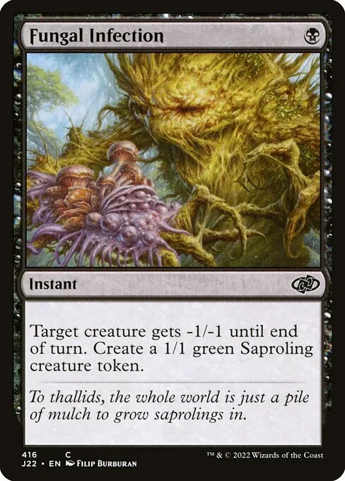 Fungal Infection 416/051