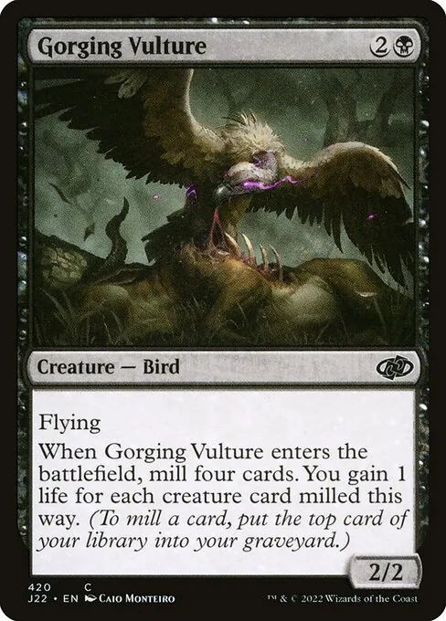 Gorging Vulture 420/051