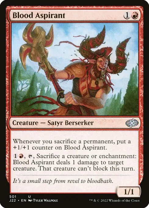 Blood Aspirant 501/051