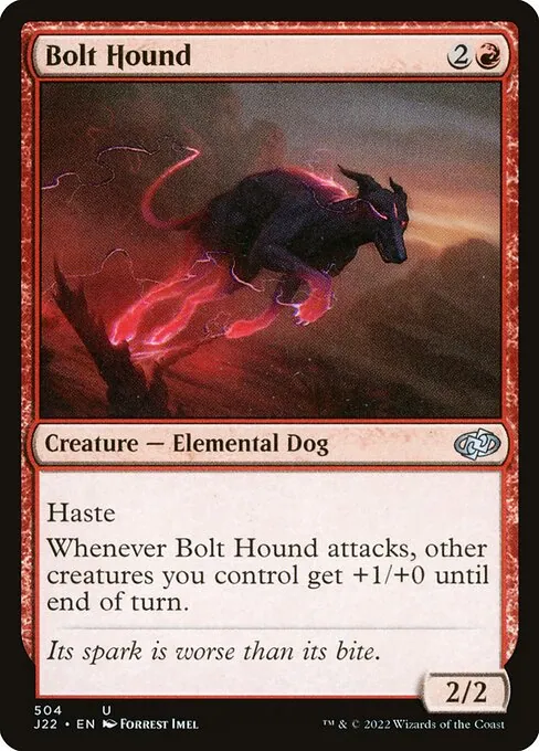 Bolt Hound 504/051