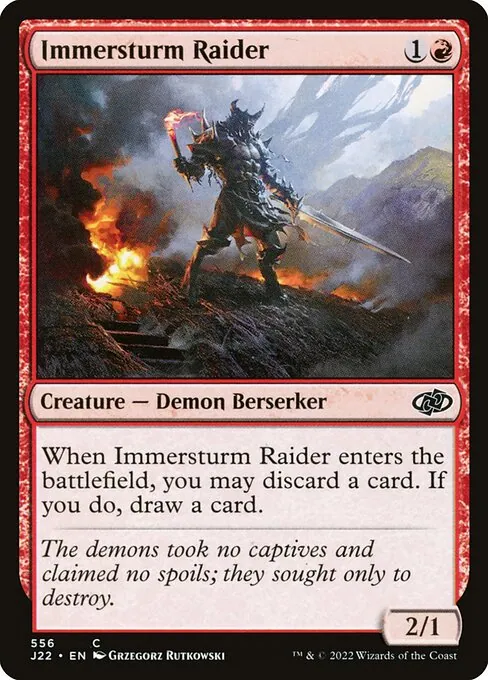 Immersturm Raider 556/051