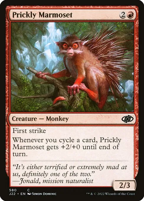 Prickly Marmoset 580/051