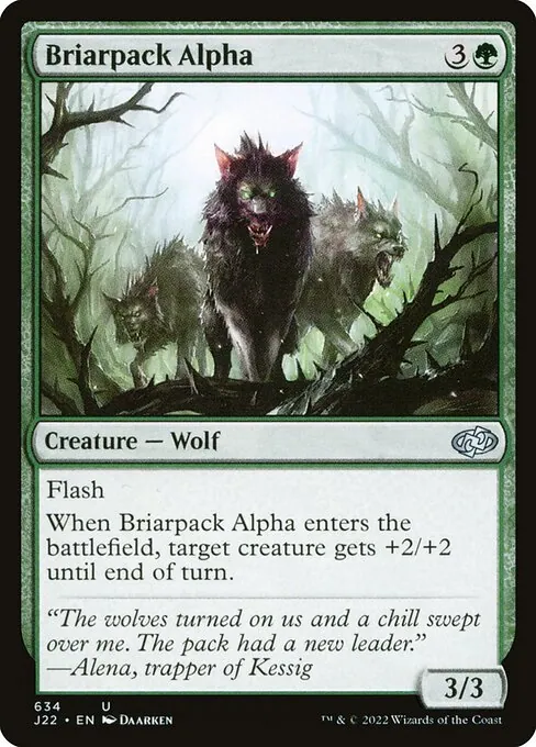 Briarpack Alpha 634/051