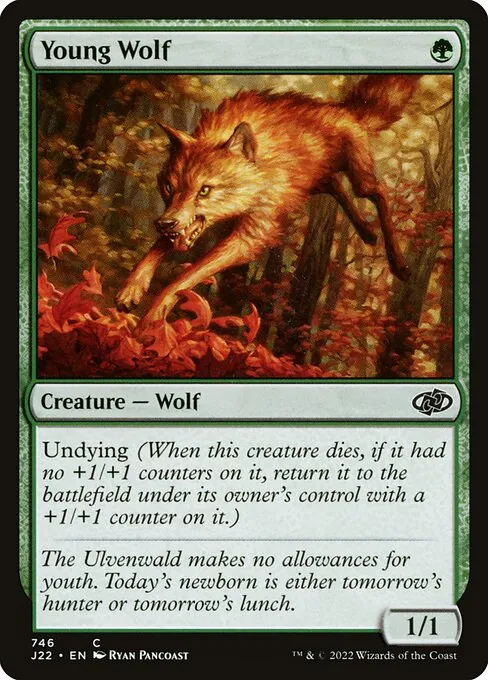 Young Wolf 746/051