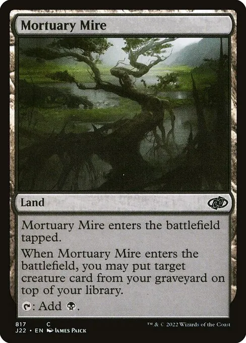 Mortuary Mire 817/051