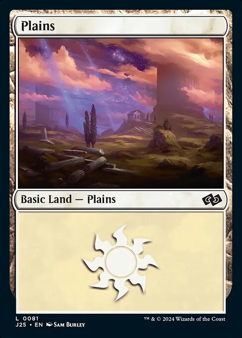 Plains 081/728
