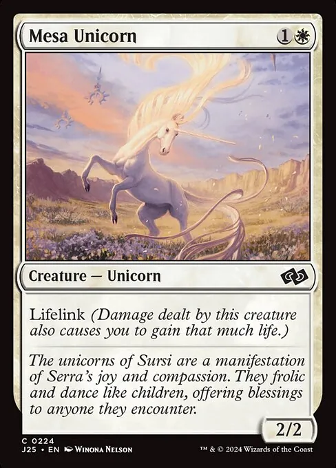 Mesa Unicorn 224/728