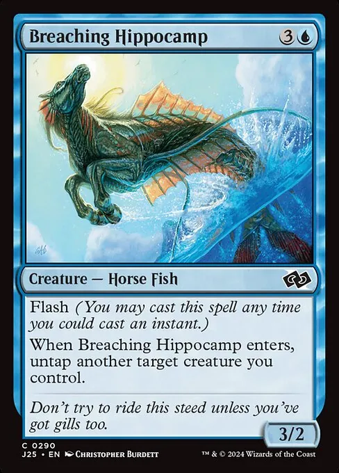 Breaching Hippocamp 290/728