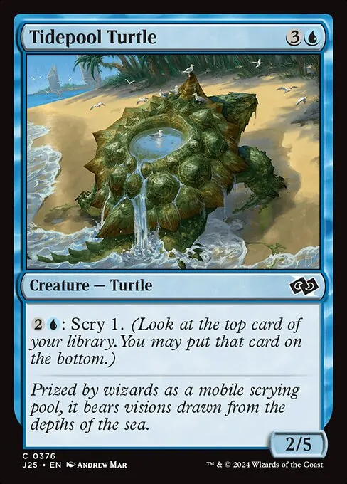 Tidepool Turtle 376/728