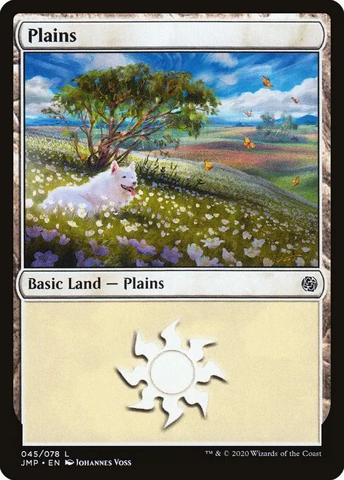 Plains 045/496