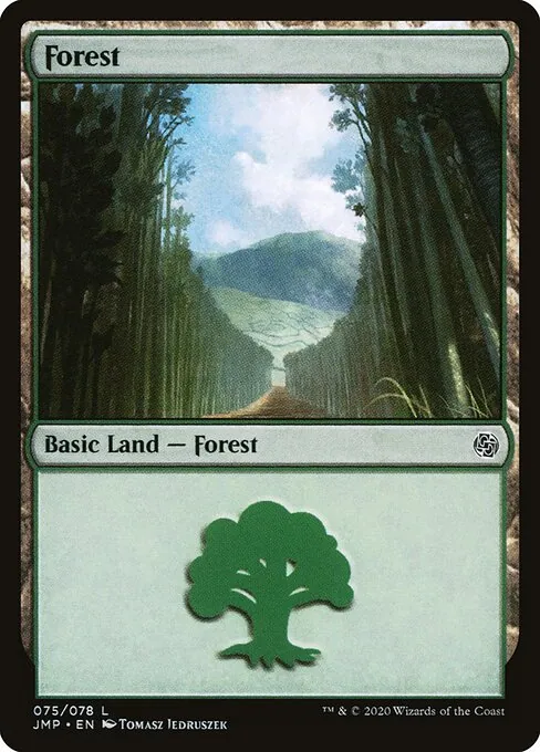Forest 075/496