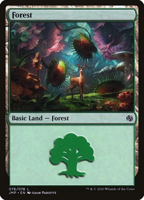 Forest 076/496