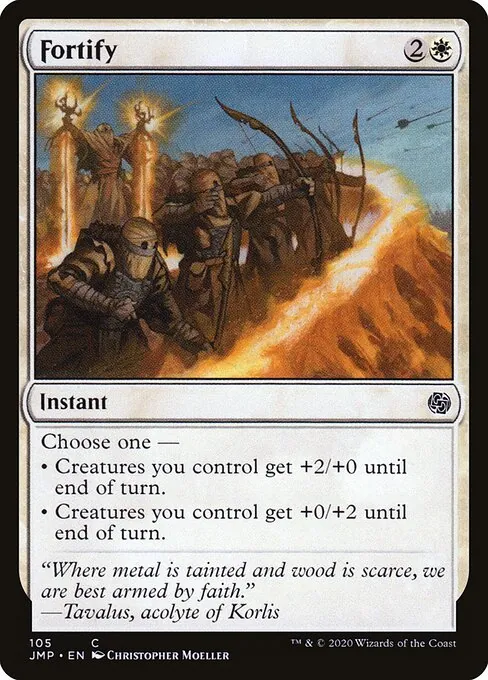Fortify 105/496