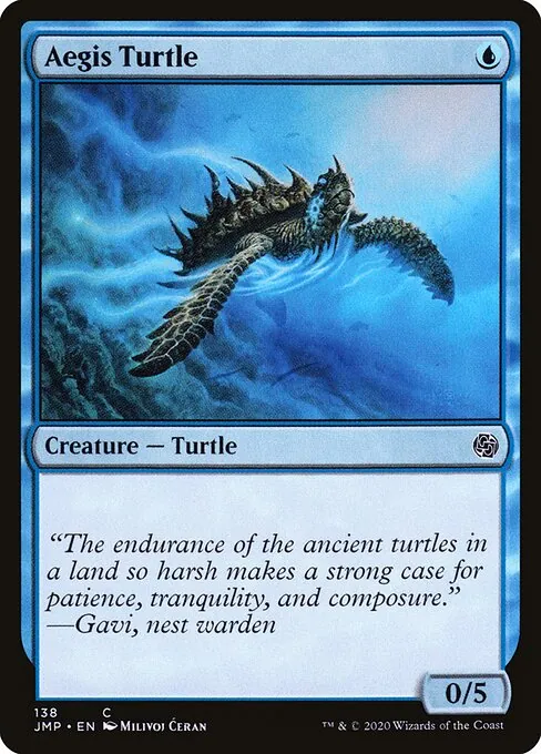 Aegis Turtle 138/496