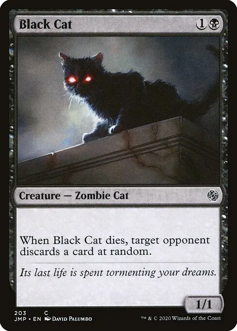 Black Cat 203/496