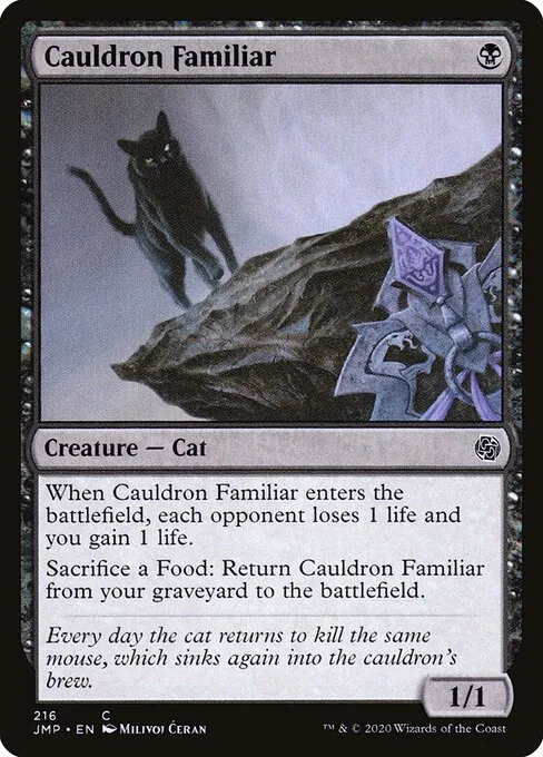 Cauldron Familiar 216/496