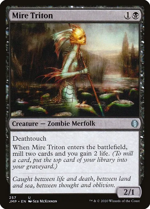 Mire Triton 257/496