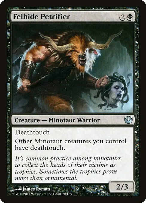 Felhide Petrifier 070/165