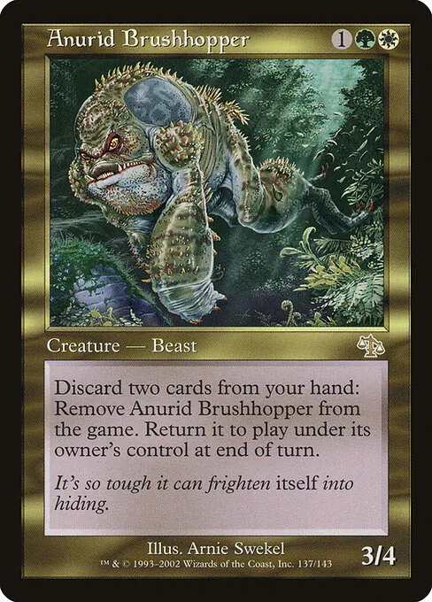Anurid Brushhopper 137/143