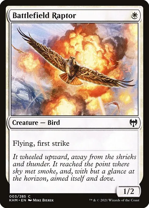 Battlefield Raptor 003/310