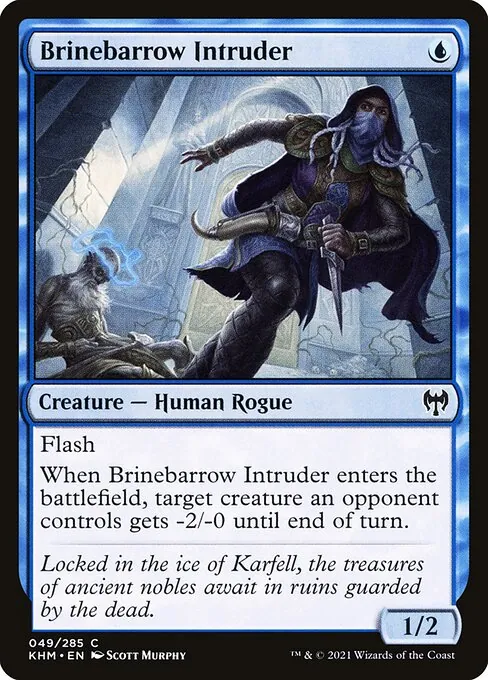 Brinebarrow Intruder 049/310