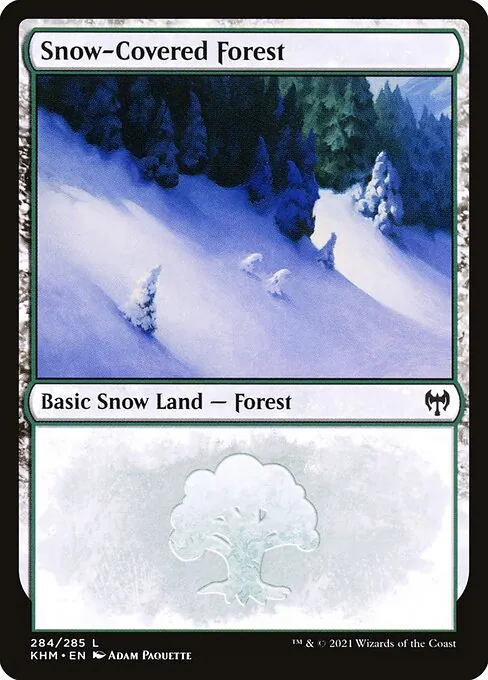 Snow-Covered Forest 284/310