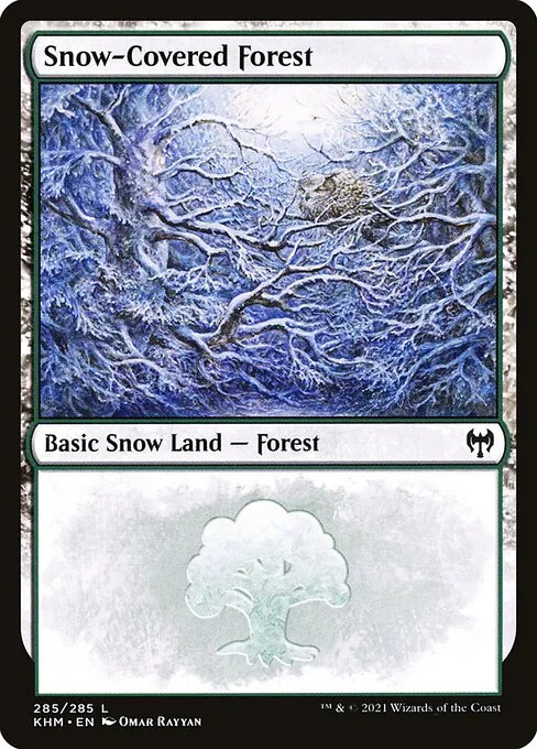 Snow-Covered Forest 285/310