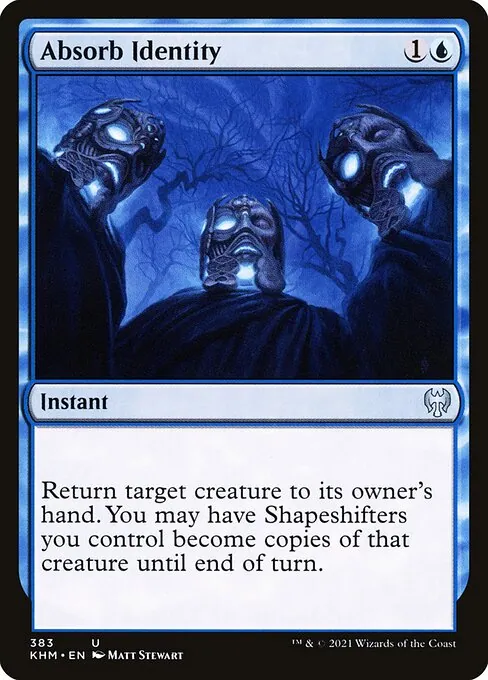 Absorb Identity 383/310