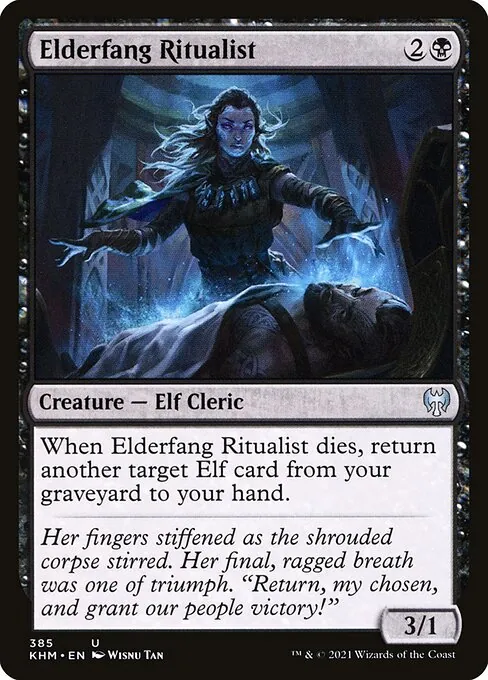 Elderfang Ritualist 385/310