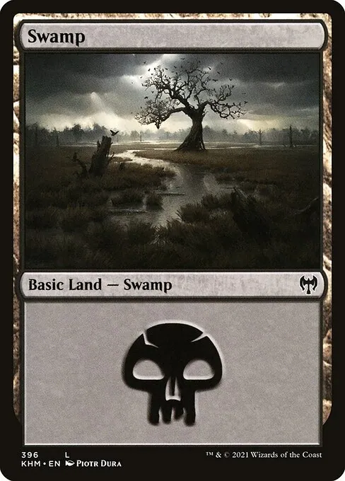 Swamp 396/310