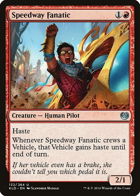 Speedway Fanatic 132/264