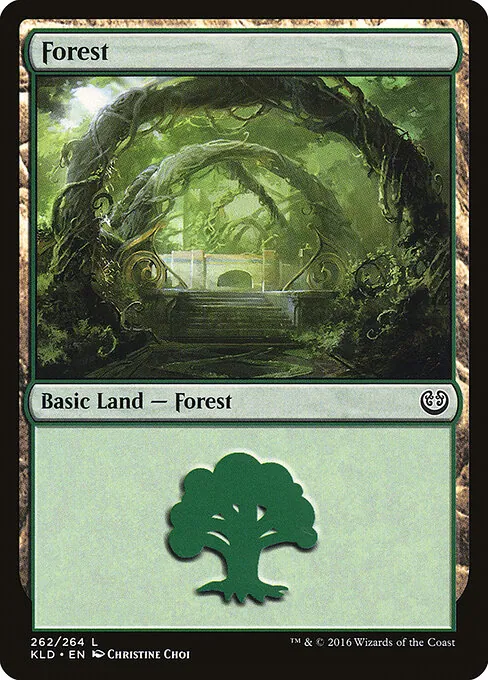 Forest 262/264