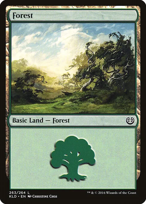 Forest 263/264