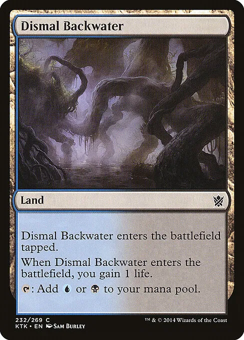Dismal Backwater 232/269