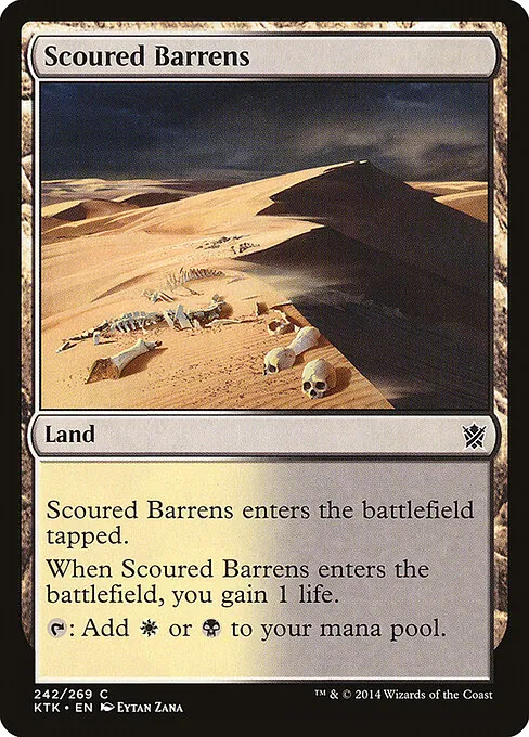 Scoured Barrens 242/269