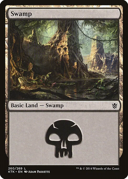 Swamp 260/269