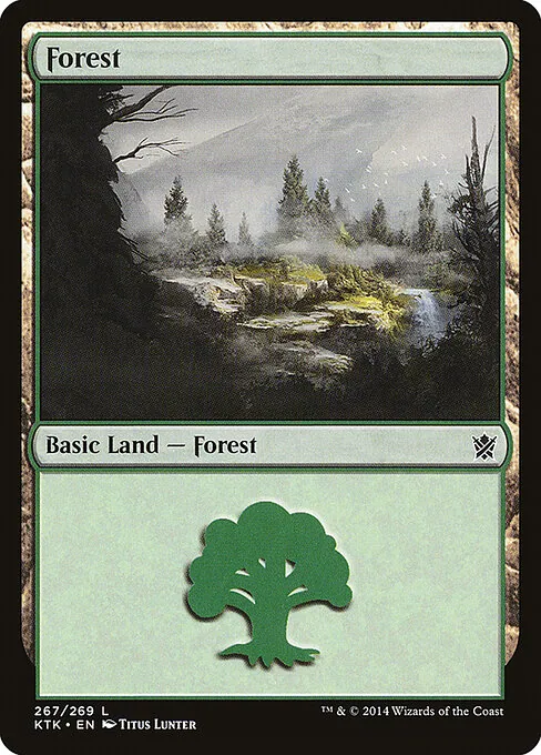 Forest 267/269