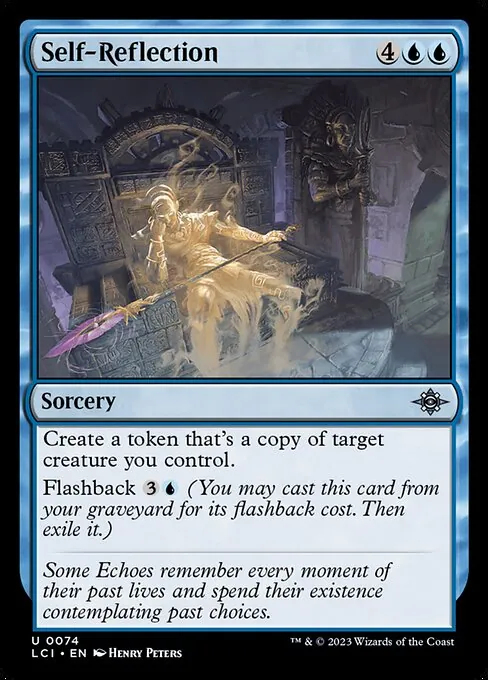 Self-Reflection 074/301