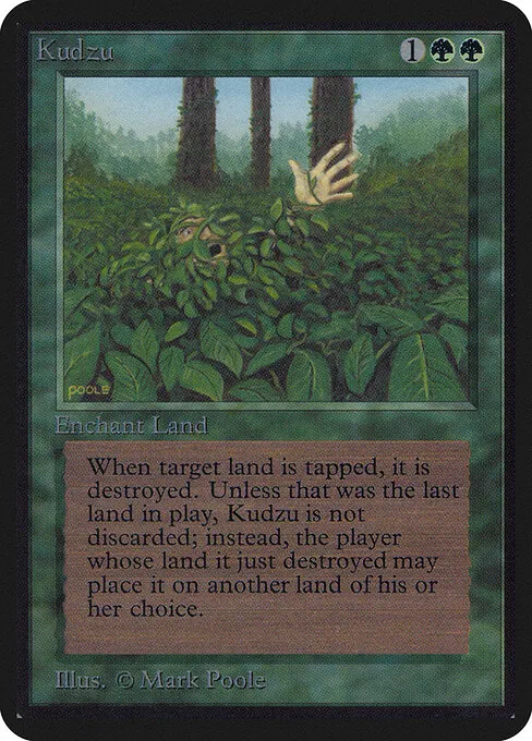 Kudzu 204/305