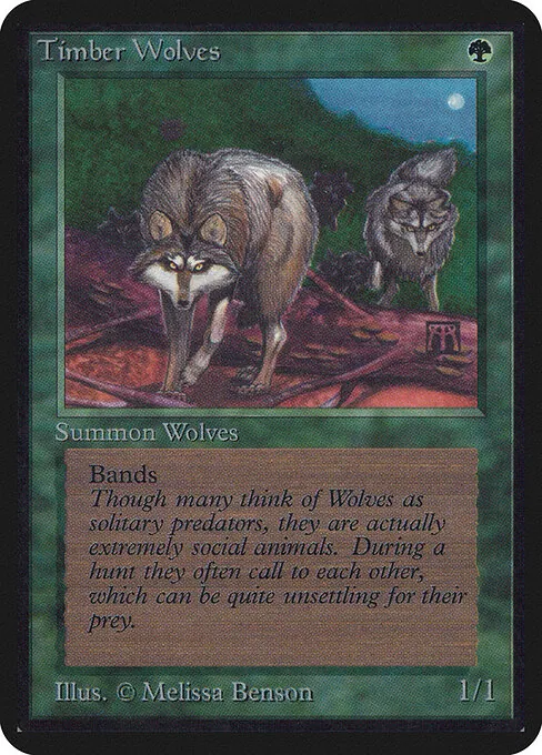 Timber Wolves 219/305