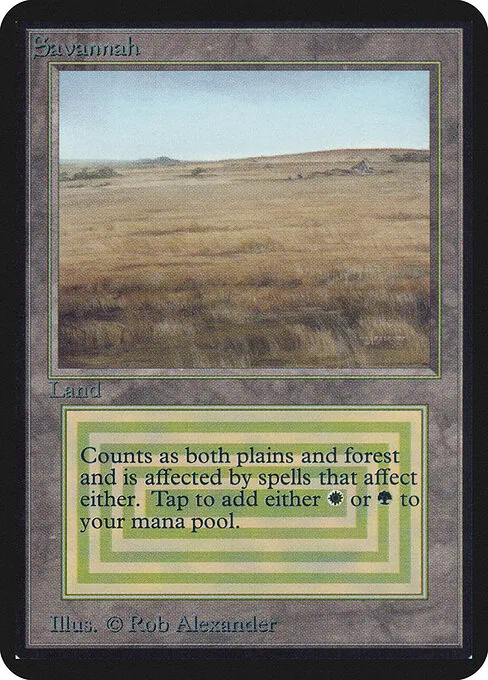 Savannah 280/305