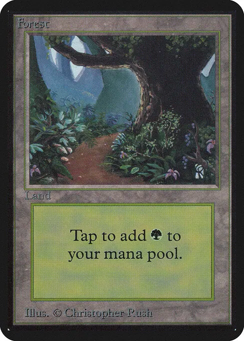 Forest 295/305