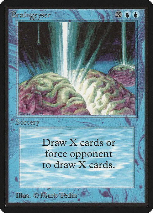 Braingeyser 051/317