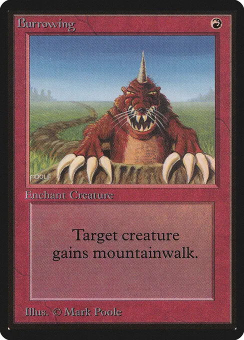 Burrowing 139/317