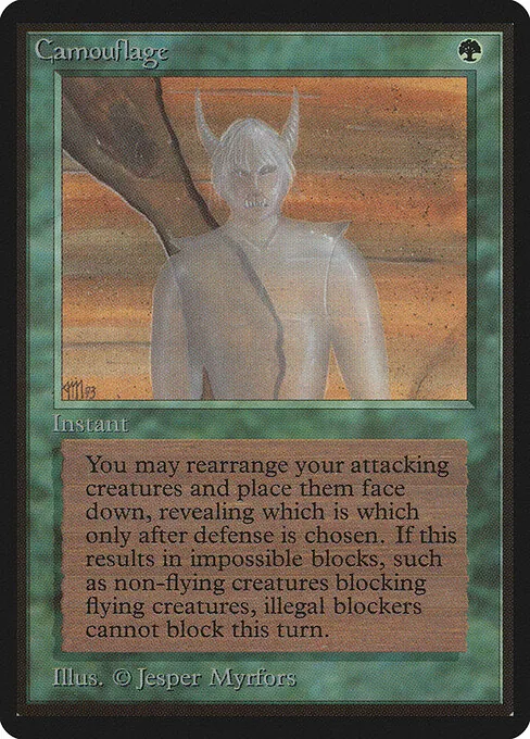 Camouflage 188/317