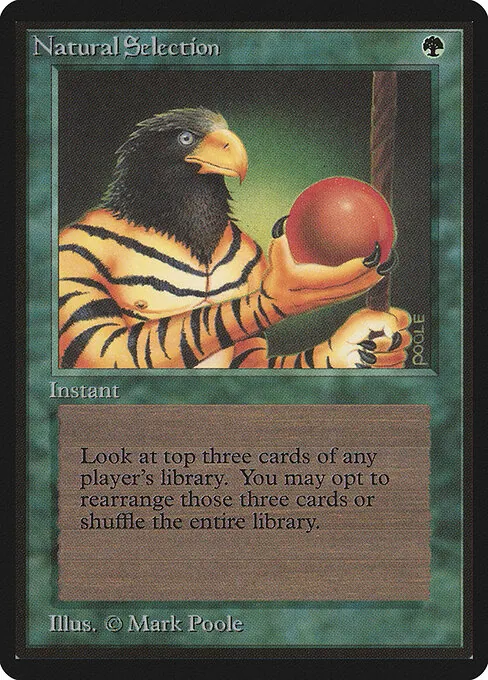 Natural Selection 213/317