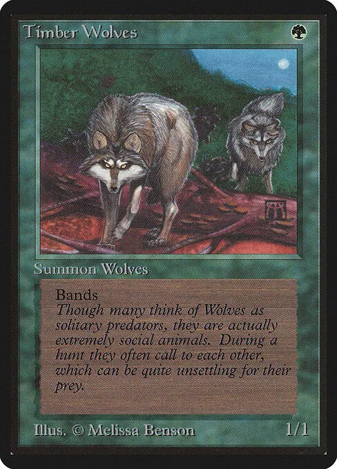 Timber Wolves 220/317