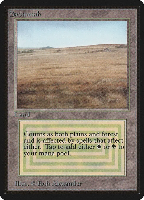 Savannah 281/317