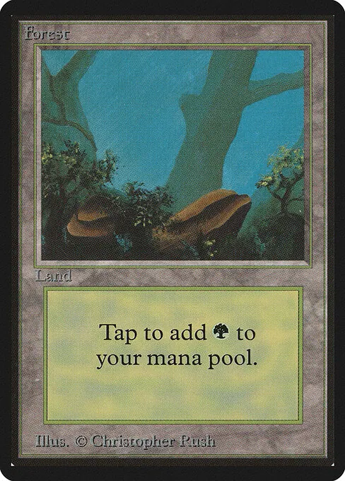 Forest 300/317